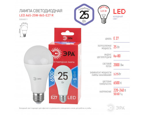 Lampa LED 25W E27 6500K 208754