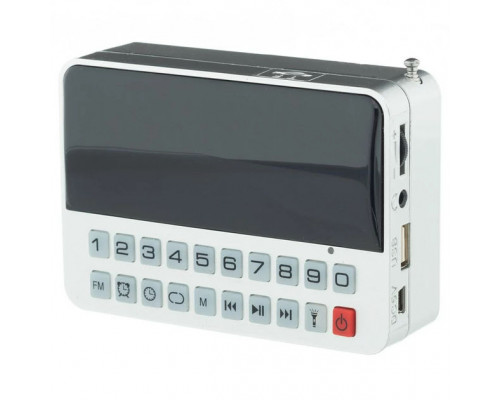 Настольные часы с FM радио + фонарик CR562