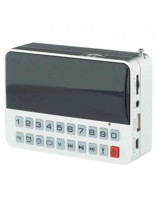 Настольные часы с FM радио + фонарик CR562