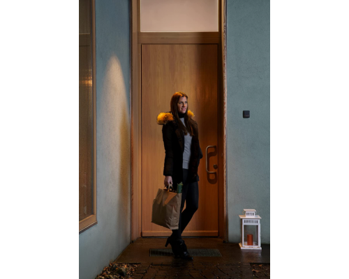 SENSOR WALL 180DEG IP55 DG 4058075244795