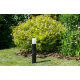 Светильник LEDVANCE ECO CLASS BOLLARD GU10 500 RD BK