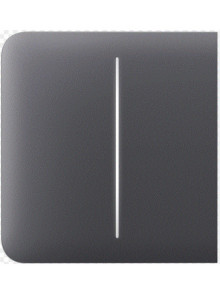 Ajax SideButton (2-gang) [55] graphite