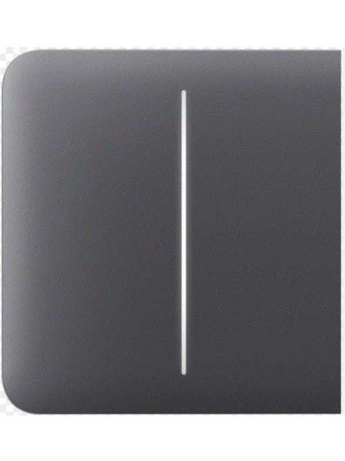 Ajax SideButton (2-gang) [55] graphite