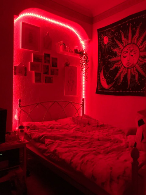 Светодиодная лента SMD 2835 120 диодов на метр IP20 красная