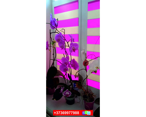 Энергосберегающие жалюзи нового поколения