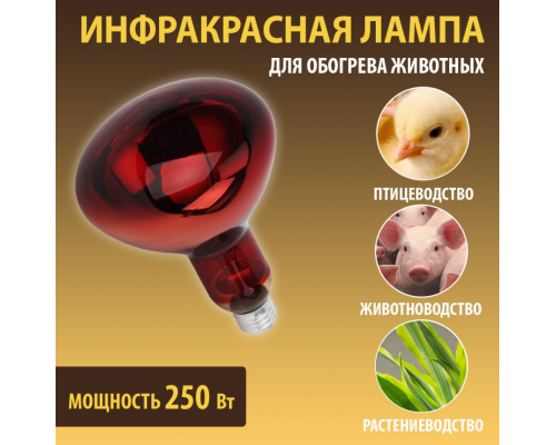 Lampa cu infrarosu pentru incalzirea pasarilor si animalelor 250W IKZK 220-250 R125 E27