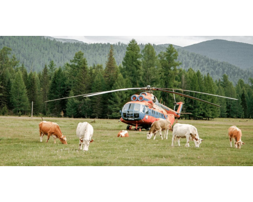 Камера видеонаблюдения  IMOU Cell PT 4G 