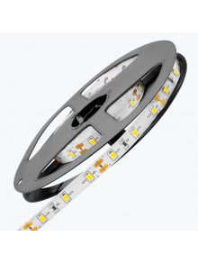 Светодиодная лента PL-2835B60WW-12, IP-20,12V,4,8W/m,3000-3500K,60led/m,5m PANLIGHT
