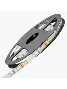 Светодиодная лента PL-2835PW60-12, IP-20,12V,7,2W/m,5500-6500K,60led/m,5m PANLIGHT