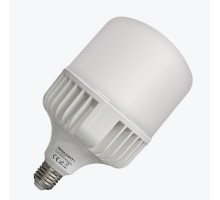 Светодиодная лампа PANLIGHT T120 50Вт 4250 Лм E27 6000K PL-TLA50276