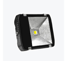 Светодиодный прожектор PL-FL 100W-W 100W 6500K PANLIGHT