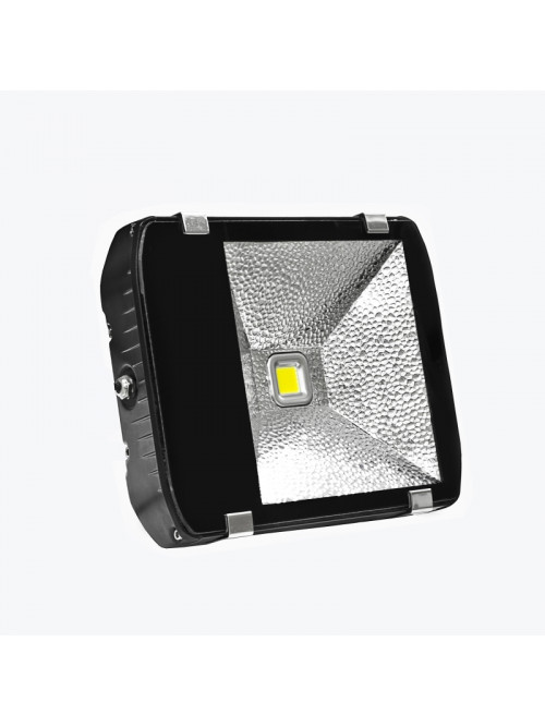 Светодиодный прожектор PL-FL 100W-W 100W 6500K PANLIGHT