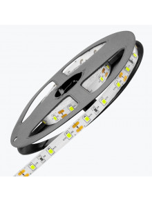 Светодиодная лента PL-2835B60W-12, IP-20,12V,4,8W/m,5500-6500K,60led/m,5m PANLIGHT