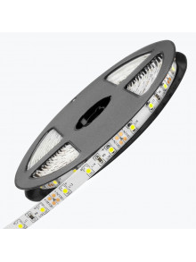 Светодиодная лента PL-3528PW60-12, IP-20,12V,4,8W/m,5500-6500K,60led/m,5m PANLIGHT