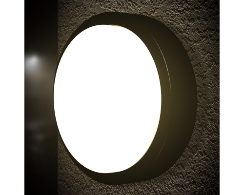 Светильник LED 12W 4000K уличный настенно-потолочный IP54 черный PL-14201P PANLIGHT