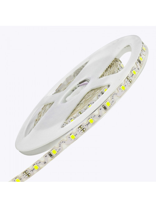 Светодиодная лента PL-2835S-CW60B-12, IP-20,12V,4,8W/m,6500K,60led/m,5m PANLIGHT