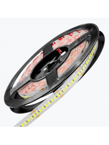 Светодиодная лента PL-2835SM-CW240-24, IP-20,24V,18W/m,6500K,240led/m,5m PANLIGHT