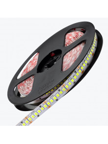 Светодиодная лента PL-2835A-CW240-24, IP-20,24V,20W/m,6500K,240led/m,5m PANLIGHT