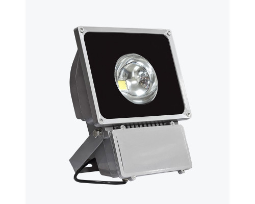 Светодиодный прожектор PL-FL 80W-W 80W 6500K PANLIGHT