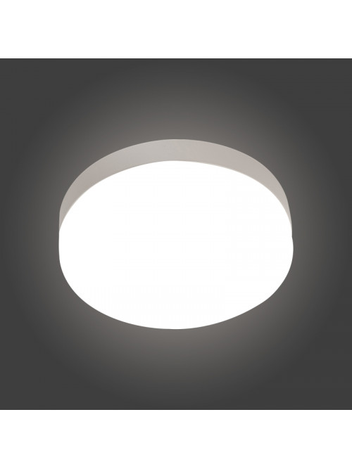 Светодиодный светильник накладной круглый белый 12W 6500K PL-UL12BCS-W PANLIGHT