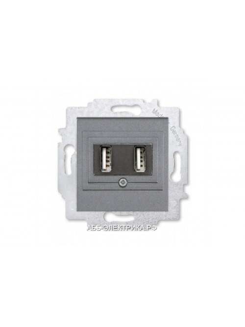 Розетка USB зарядка двойная ABB Levit сталь