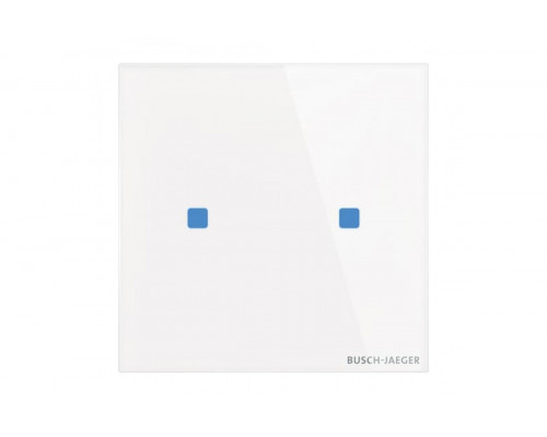 Busch-Jaeger – TB/U2.5.11-CG TB/U2.5.11-CG Control element 2g.