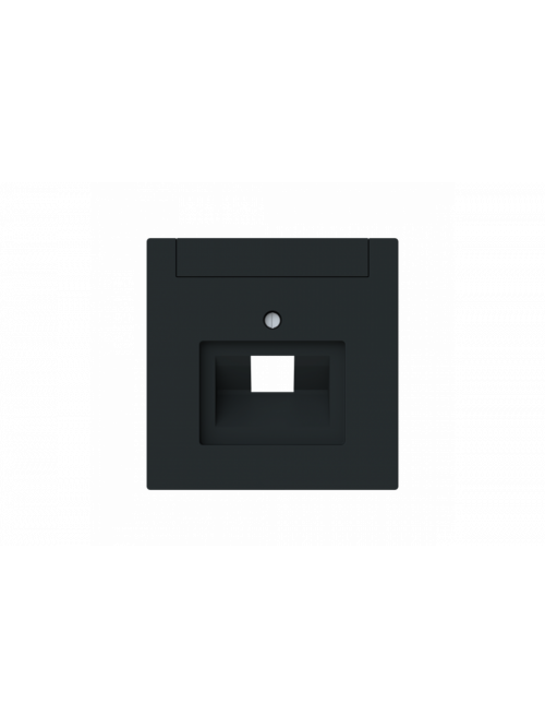 Cover plate with labelling field Data connection 1 gang black matt - Busch-art linear