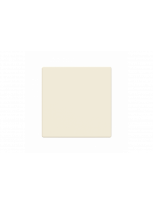 Busch-Jaeger – LFW/A.1.63.11-82 Cover plate ivory white - 63x63