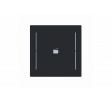 Busch-Jaeger – LFS/A.1.70.11-45M Cover plate with legend with Symbol "scene" black matt - Busch-art linear