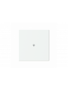 Busch-Jaeger – LFBT/A.1.63.11-84 Cover plate with legend with Symbol "light" studio white - 63x63