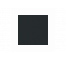 Control Element None for Dimmer Two-part button black matt - Busch-art linear