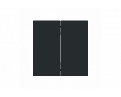 Control Element None for Dimmer Two-part button black matt - Busch-art linear