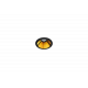 Shot Light