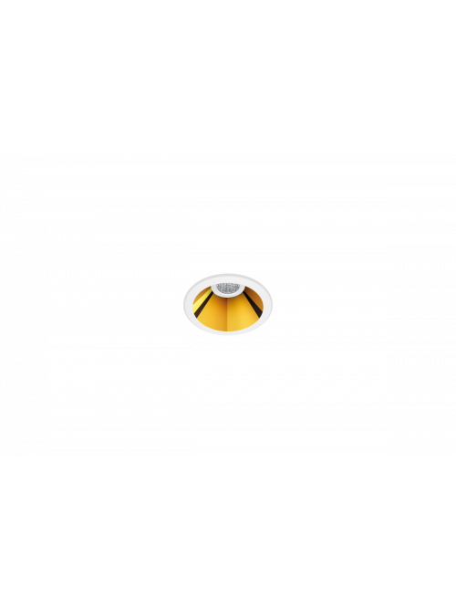 Shot Light