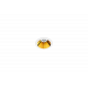 Shot Light