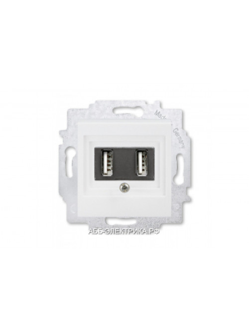 Розетка USB зарядка двойная ABB Levit белый