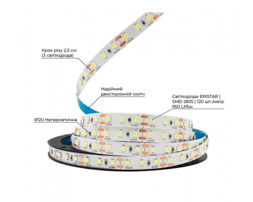 bandă LED PROLUM™ 12V; 2835\120; IP20; Seria „S”, alb rece (9000-10000K)