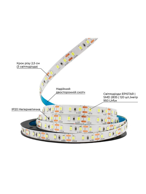 Светодиодная LED лента PROLUM™ 12V; 2835\120; IP20; Series "S", Холодный-белый (9000-10000К)