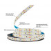bandă LED PROLUM™ 12V; 2835\120; IP20; Seria „S”, alb rece (9000-10000K)