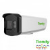 IP камера Tiandy TC-C32DP Color Maker, 2MP, S+265, 4mm, WLed's 20-30m, Mic, POE, IP67