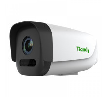 IP камера Tiandy TC-A32E2 Starlight Face Capture, 2MP, S+265, 12mm, IR30m, WLed's, POE, IP67