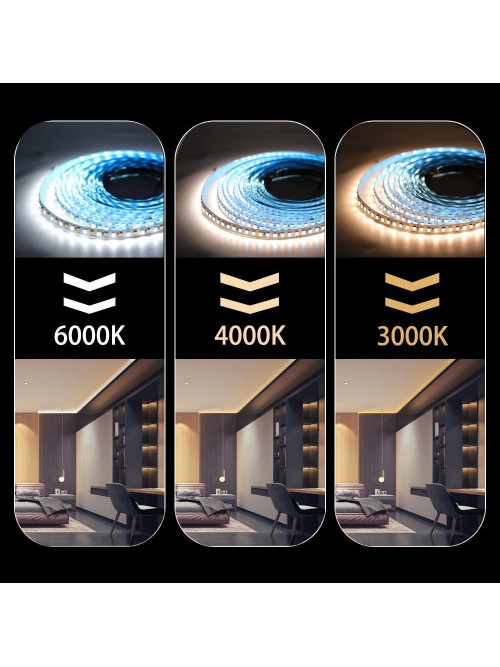 Светодиодная LED лента PROLUM™ RUN 24V; 2835\120; IP20; Series "SMART", Белый+Тепло-Белый (2700-6500K)