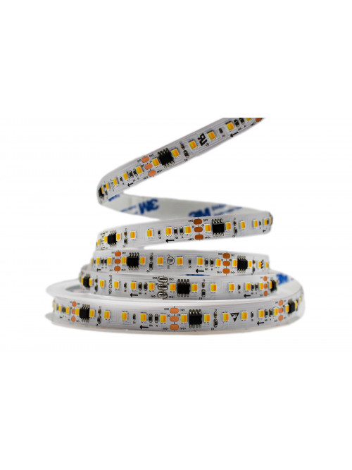 Светодиодная LED лента PROLUM™ RUN 24V; 2835\120; IP20; Series "SMART", Белый+Тепло-Белый (2700-6500K)