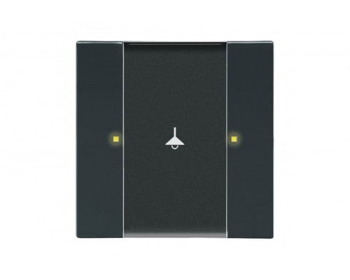 Busch-Jaeger – 6125/02-81 6125/02-81 Control element 1/2gang