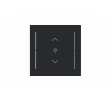 Busch-Jaeger – LFDW/A.1.70.11-45M Cover plate with legend with Symbol "dimming" black matt - Busch-art linear