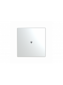 Busch-Jaeger – LFBT/A.1.63.11-866 Cover plate with legend with Symbol "light" stainless steel - Pure Stainless Steel