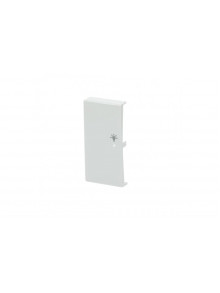 Busch-Jaeger – 6231-21-84 6231-21-84 rocker 2g, left, lighting