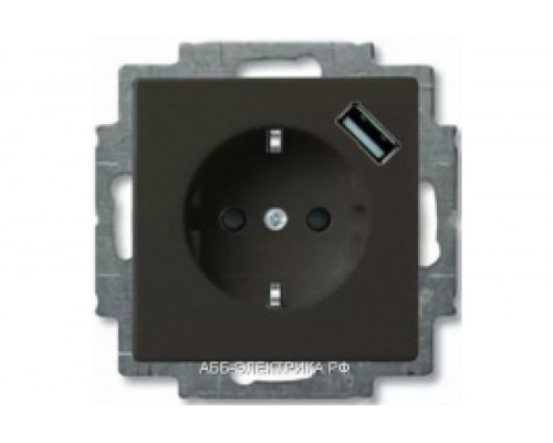 Розетка с/з с USB 16А, 700 мА, (безвинтовой зажим) , цвет Шато(черный), ABB Basic 55