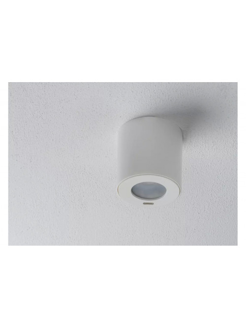 PlanoSpot 360 DALI-2 S DE WH