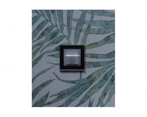 Adapter frame 45A GIST CL